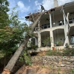 Residential Tree Services