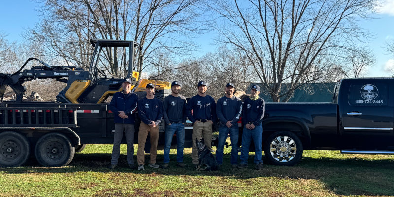 About Settle Tree Services in Maryville, Tennessee