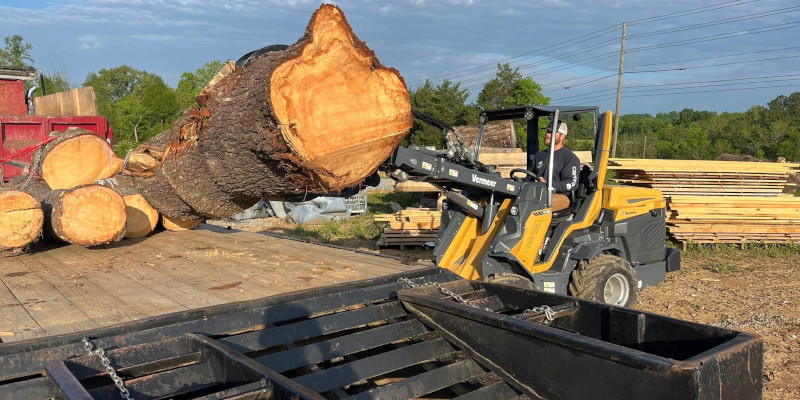 Tree Cleanup in Maryville, Tennessee
