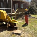 Stump Grinding