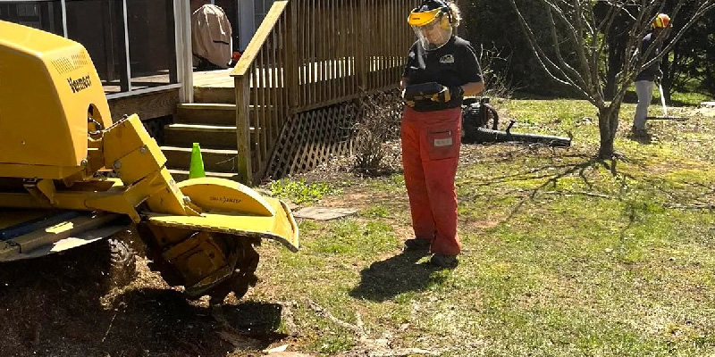 Stump Grinding in Maryville, Tennessee