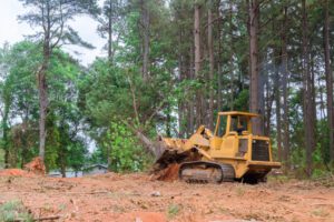Why Property Owners May Need Lot Clearing
