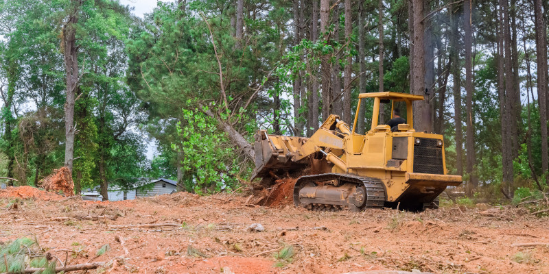 Why Property Owners May Need Lot Clearing