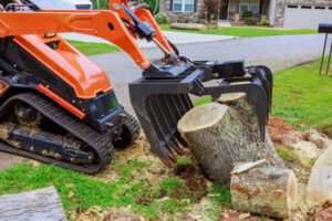 Common Residential Tree Services That Require the Assistance of a Professional Team