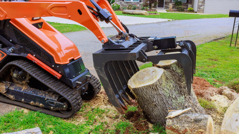 Common Residential Tree Services That Require the Assistance of a Professional Team