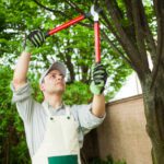 Tree Pruning