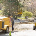 Tree Maintenance
