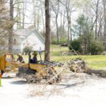 Tree Debris Cleanup