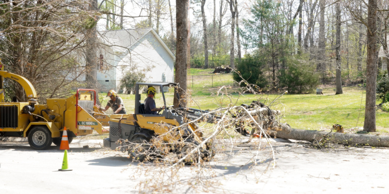 Tree Debris Cleanup in Maryville, Tennessee