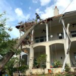 Tree Storm Damage Cleanup