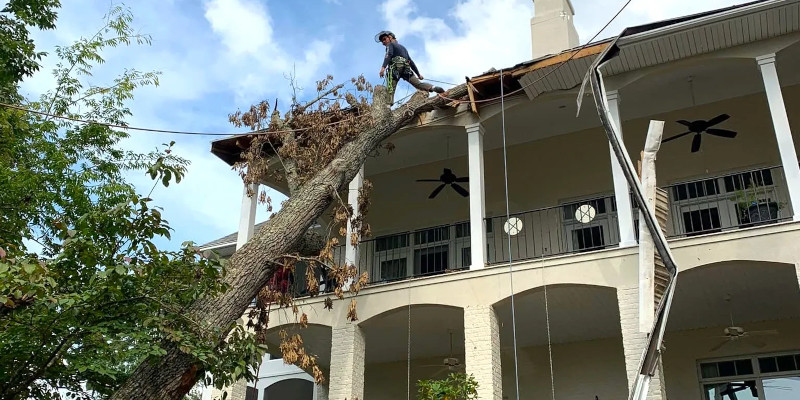 Tree Storm Damage Cleanup in Maryville, Tennessee