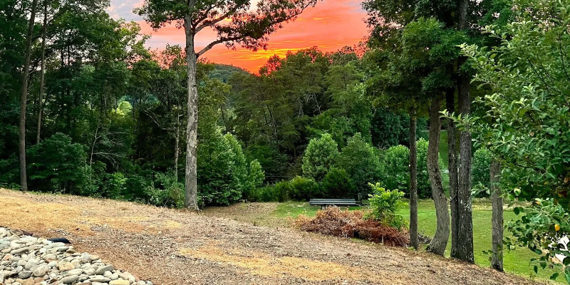 Lot Clearing in Maryville, Tennessee