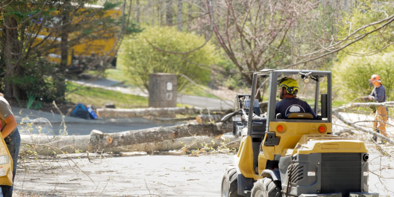 Tree Branch Removal in Maryville, Tennessee