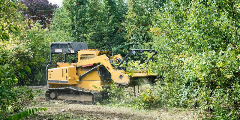 What to Expect During Our Site Clearing Process